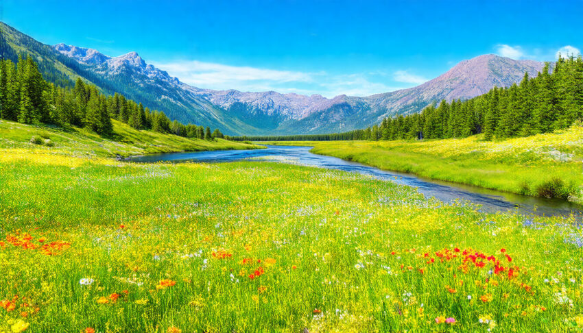 Unlocking the Beauty of the Wild: A Comprehensive Guide to Nature Photography